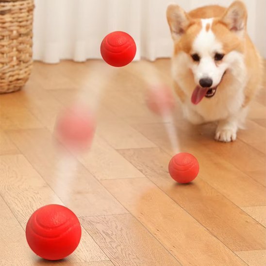 Balle pour Chien indestructible | JoyCanin - Excursion Chien