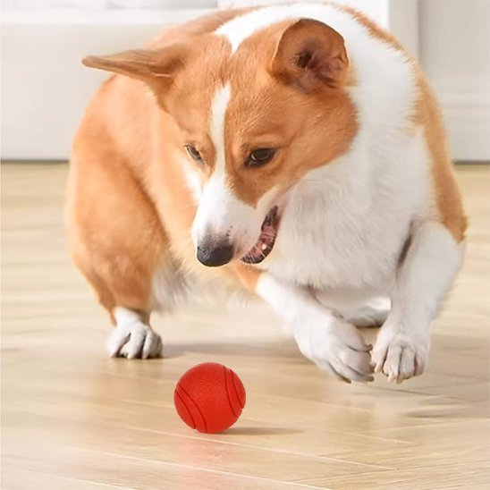 Balle pour Chien indestructible | JoyCanin - Excursion Chien