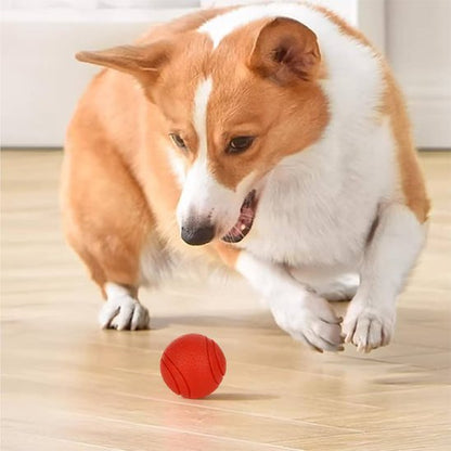 Balle pour Chien indestructible | JoyCanin - Excursion Chien
