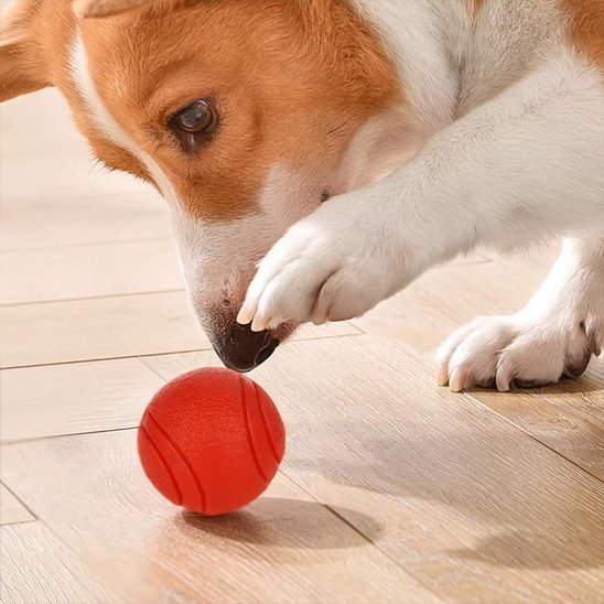 Balle pour Chien indestructible | JoyCanin - Excursion Chien