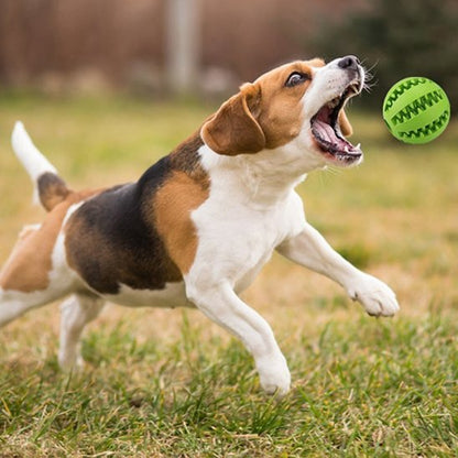 Balle indestructible pour chien qui stimule l'instinct de votre compagnon fidèle