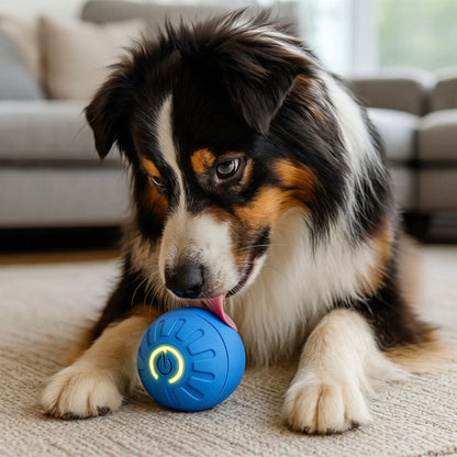 Balle intelligente pour chien | Distractio