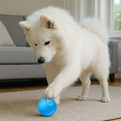 Balle pour chien à Rebond imprévisible qui encouragent la poursuite et l'exercice physique