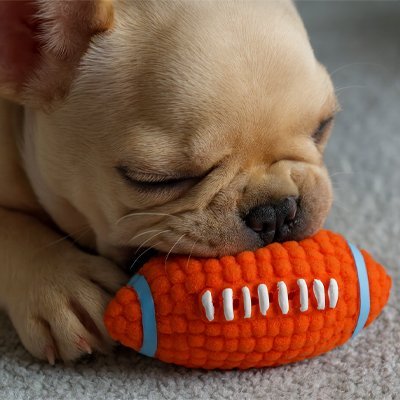 Balle pour Chien adaptable aux mâchoires canines