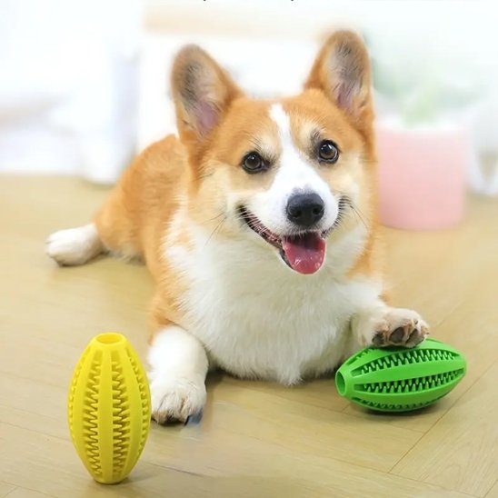 Balle pour chien adaptée aux différentes races 