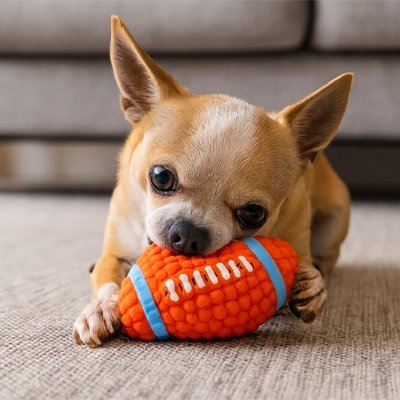 Balle pour Chien qui nettoie les dents