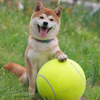 Balle indestructible pour chien | XXL - Excursion Chien