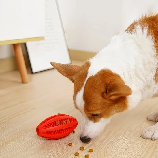 Balle pour chien avec Cavity interne pour friandises