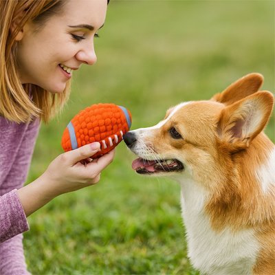 balle pour chien en forme de rugby