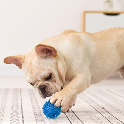 Balle pour Chien | Sharly - Excursion Chien
