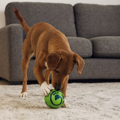 Balle pour Chien  idéale pour les jeux d'intérieur et d'extérieur