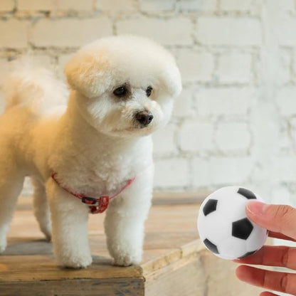 Balle pour chien indestructible Kong qui stimule les sens du chien