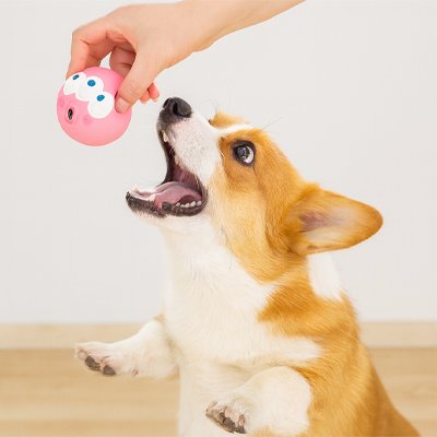 Balle pour Chien interactive