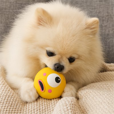 Balle pour Chien Jaune