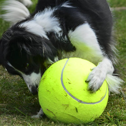 Balle indestructible pour chien | XXL - Excursion Chien