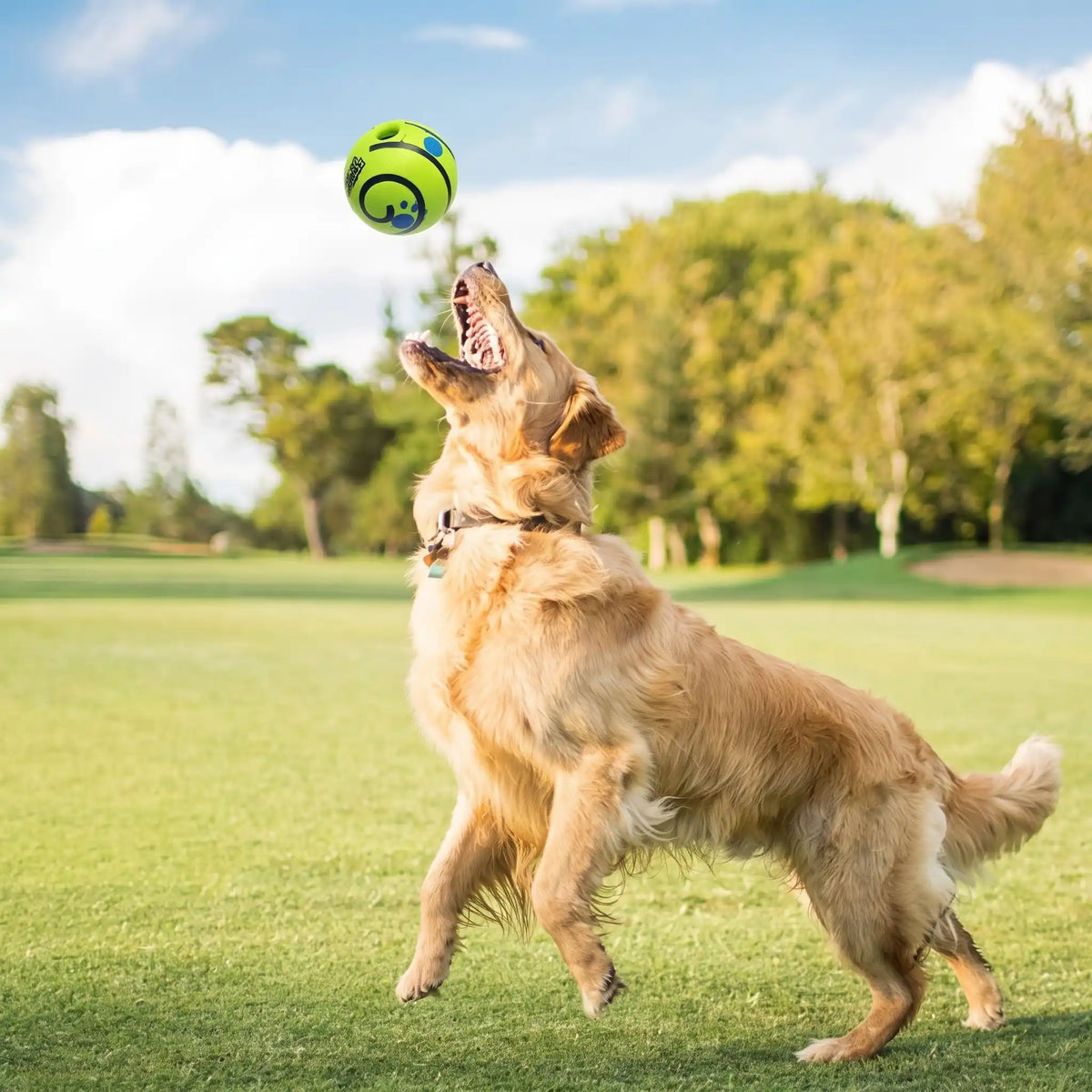 Balle Pour Chien qui fait du bruit | Sonora