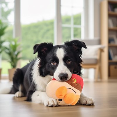Balle pour Chien qui nettoie naturellement les dents de l'animal