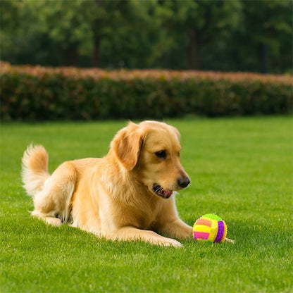 Balle pour chien | Lumineuse - Excursion Chien