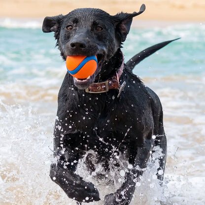 Balle pour chien | Silicone