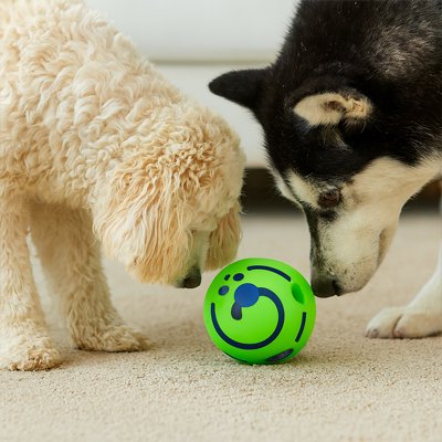 Balle pour Chien rigolant et adaptable pour à toutes les races canines