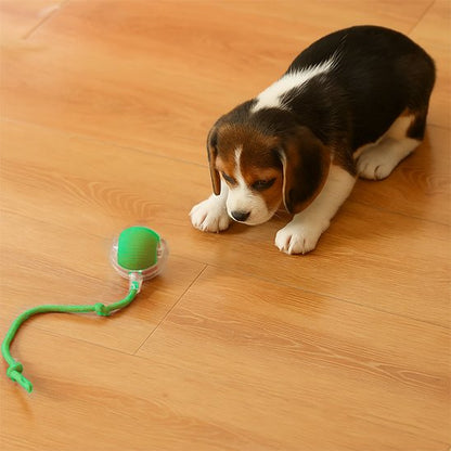 Balle pour chien​ robuste résistant aux mâchouillements répétés des chiots et chiens adultes
