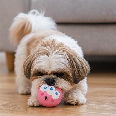 Balle pour Chien Rose
