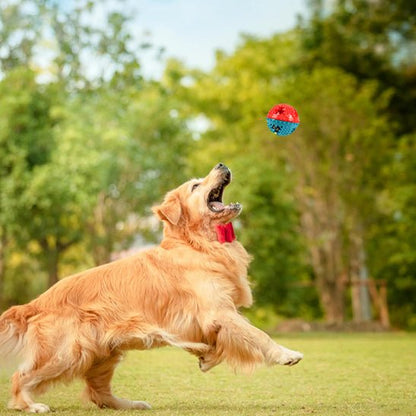 Ballon increvable chien | Ultra - résistant - Excursion Chien