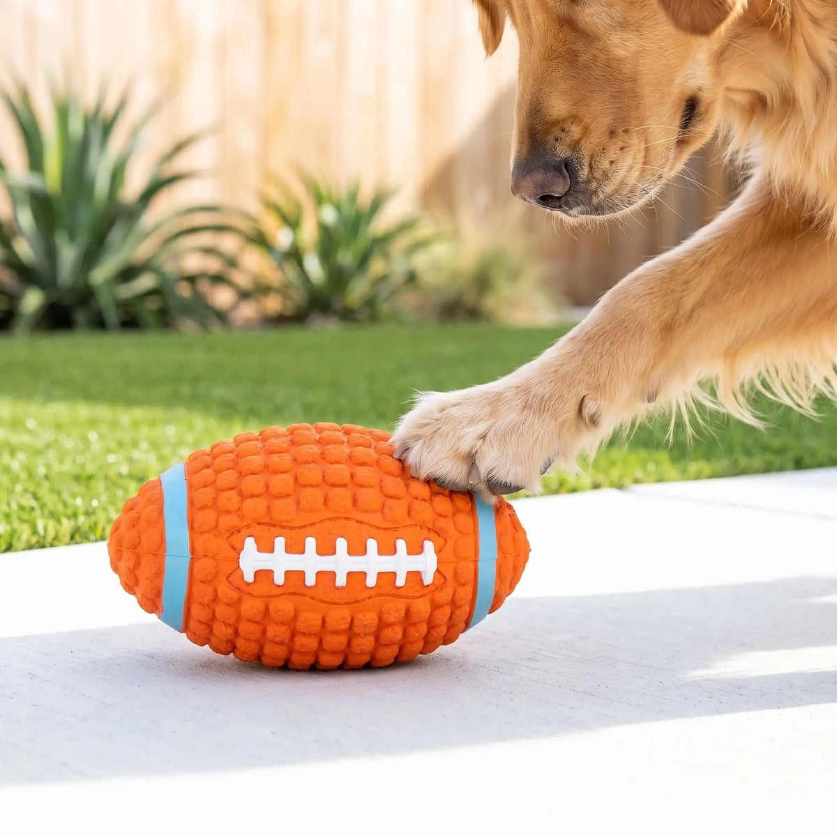 Ballon Rugby Chien | Ultra-Résistant
