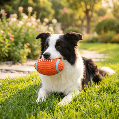 Ballon Rugby Chien | Ultra-Résistant