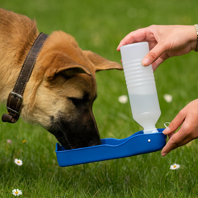 bouteille d'eau pour chien facile à hydrater