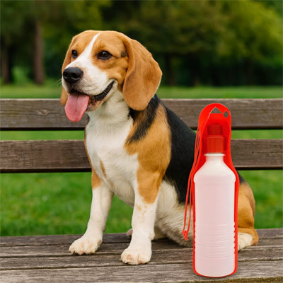 bouteille d'eau pour chien qui intègre directement l'abreuvoir