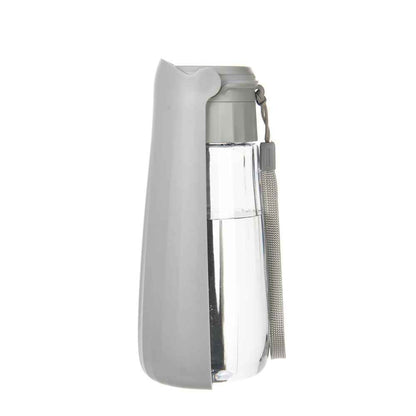 Bouteille d'eau portable pour chien grise