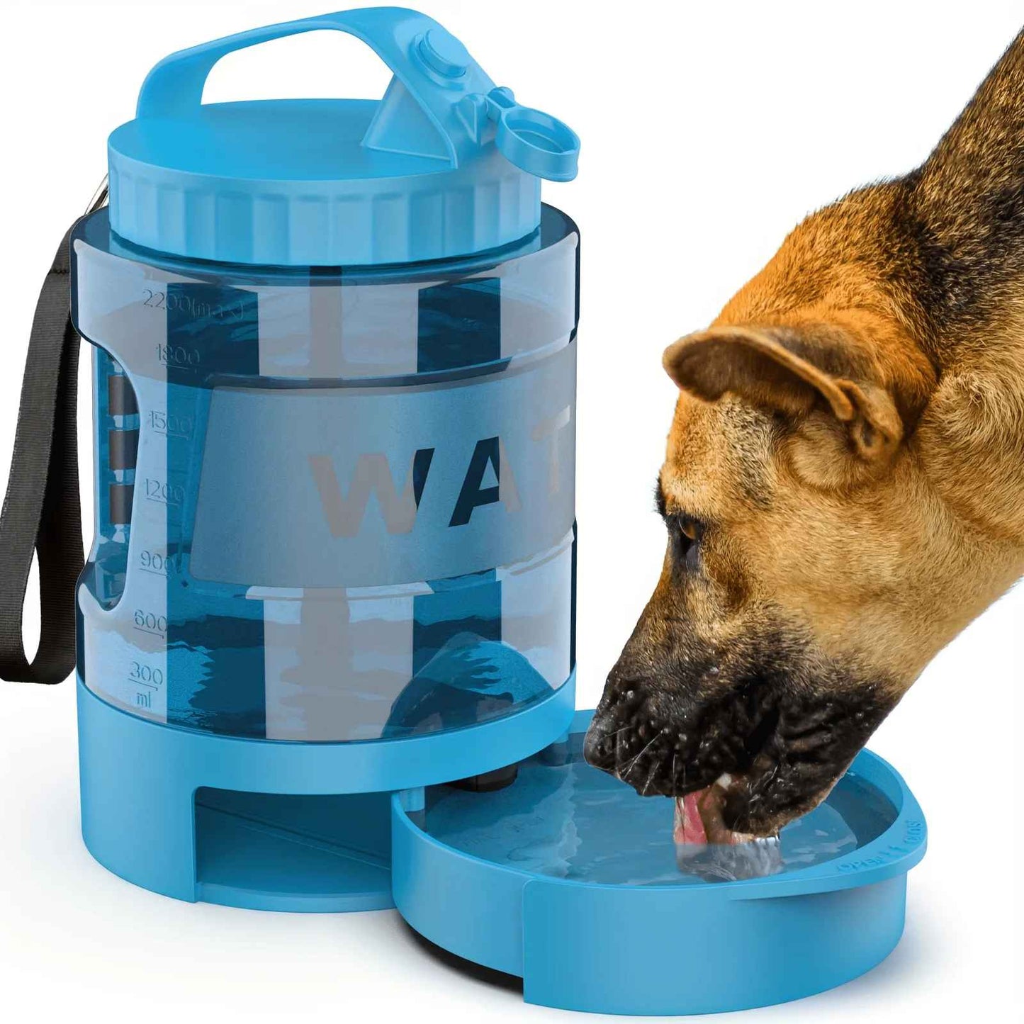 Chien buvant dans une bouteille d'eau pour chien grande capacité bleu