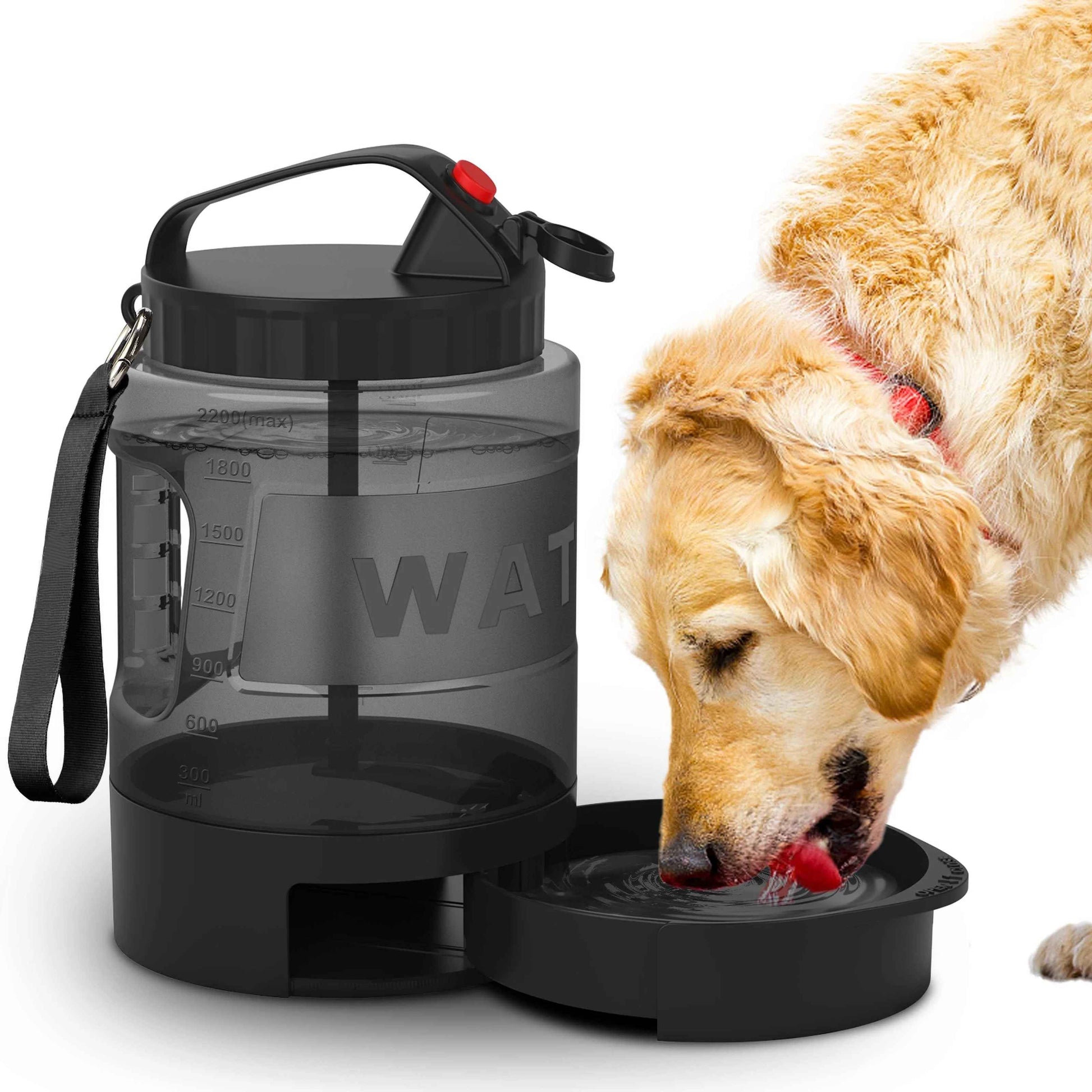Chien buvant dans une bouteille d'eau portable grande capacité