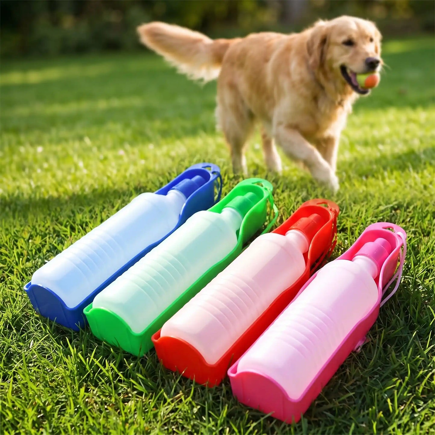 Bouteille Pour Chien | Compact Anti-Fuite