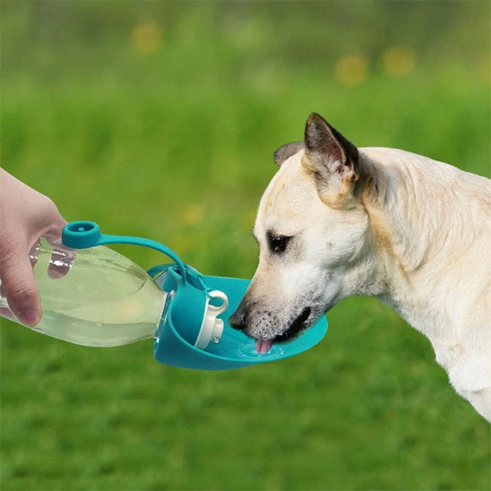 bouteille pour chien adaptable à tous les museaux canines