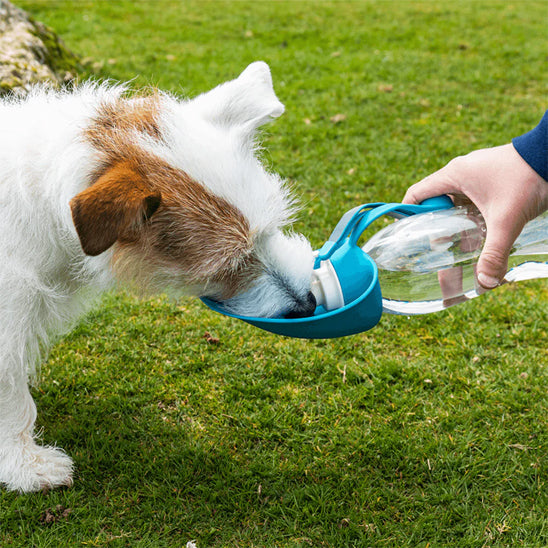 bouteille pour chien avec système anti-fuite