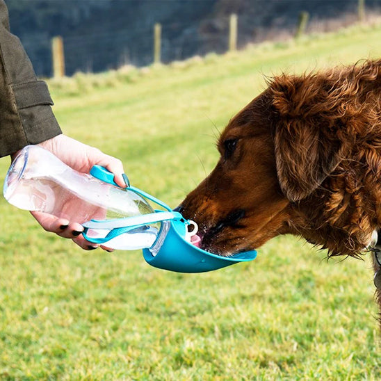 bouteille pour chien facile à nettoyer