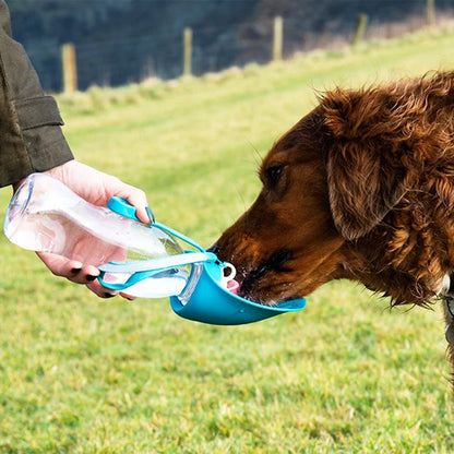 bouteille pour chien facile à nettoyer