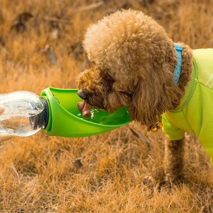 bouteille pour chien vert