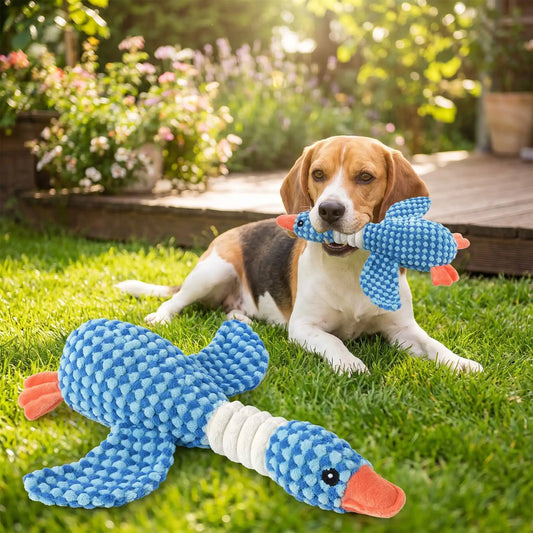 Canard en Jouet | Peluche Couinante Dentaire - Excursion Chien