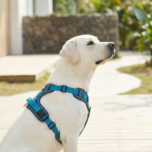 Chien Harnais anti traction | Réfléchissant - Excursion Chien