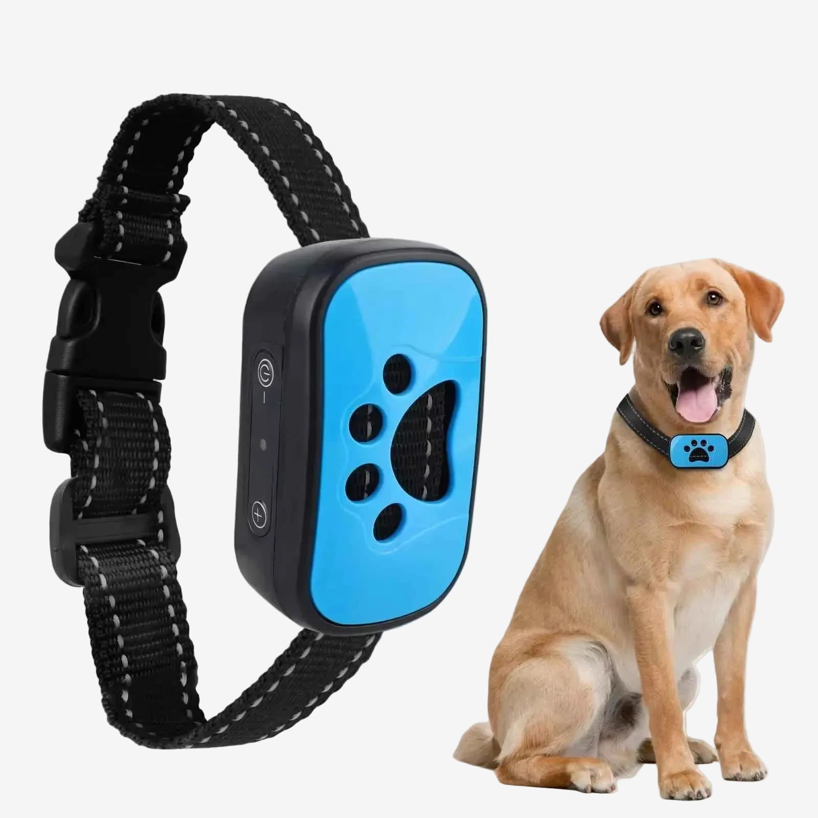 Collier Anti Aboiement Chien | Éducation Douce - Excursion Chien
