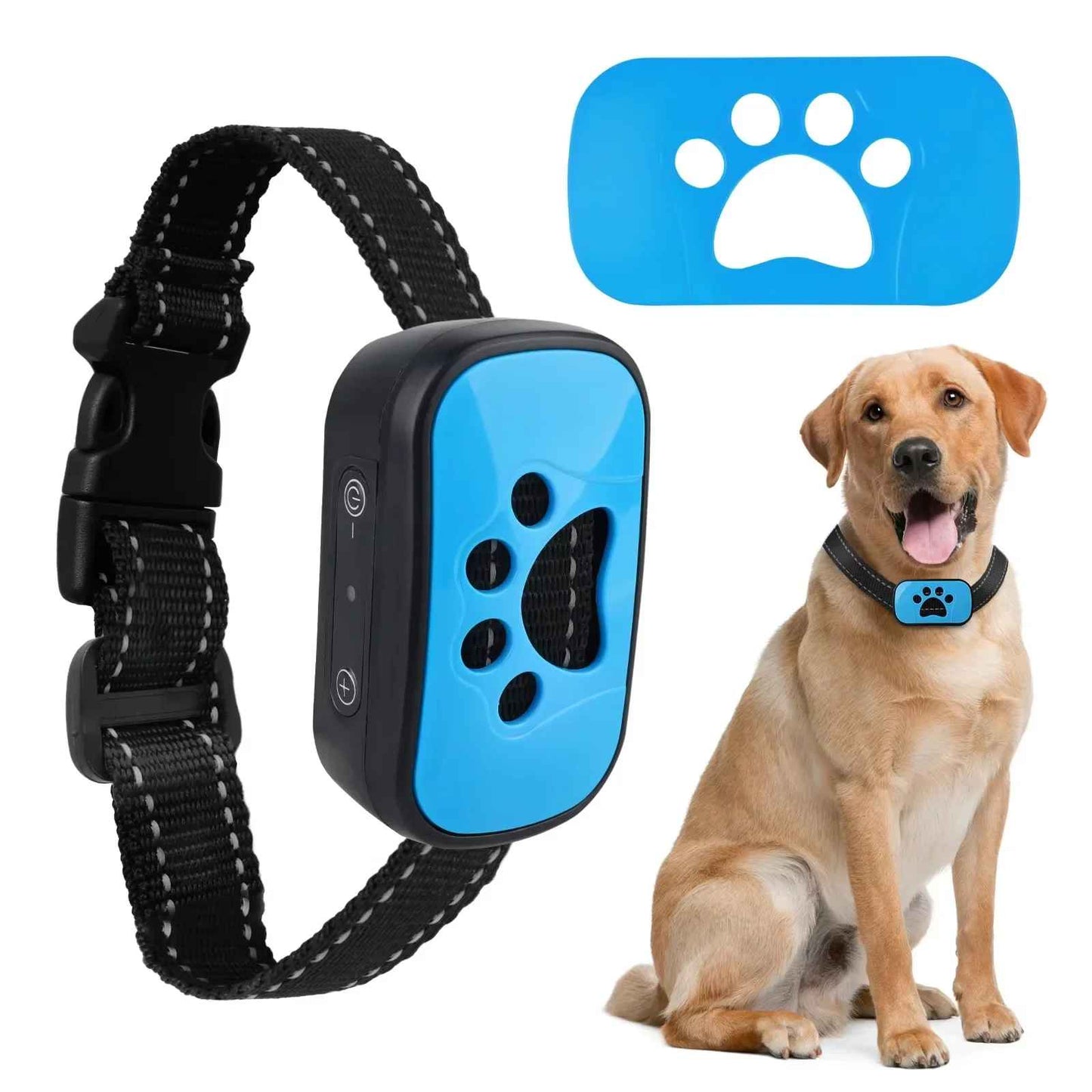 Collier Anti Aboiement Chien | Éducation Douce - Excursion Chien