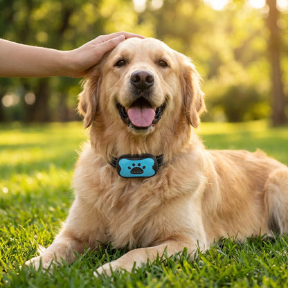 Collier Anti Aboiement Chien | Éducation Douce - Excursion Chien