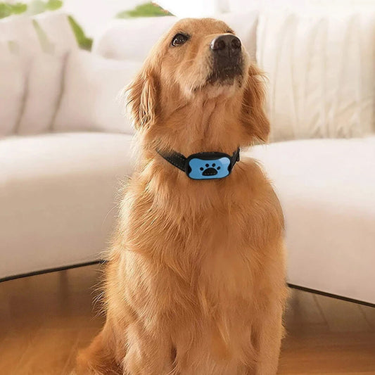 collier anti aboiement chien qui éduque avec douceur votre animal