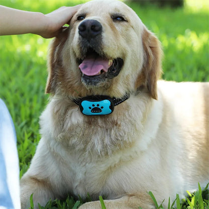collier anti aboiement chien qui apaise votre quotidien