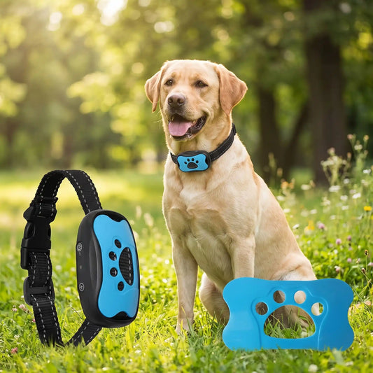 Collier Anti Aboiement Chien | Éducation Douce - Excursion Chien