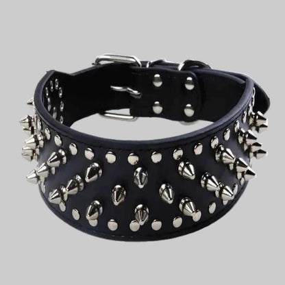 collier chien noir