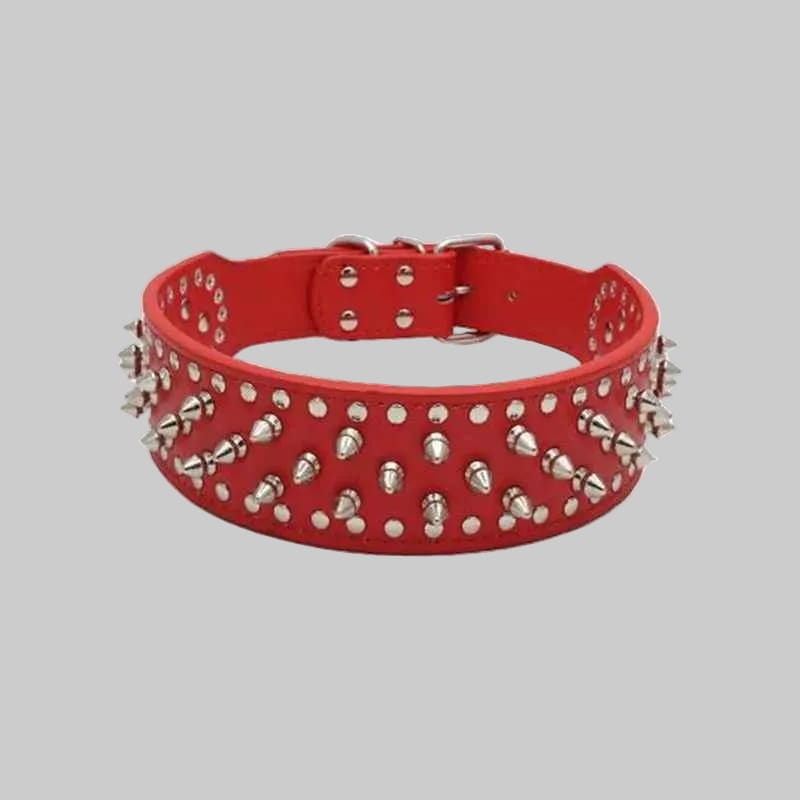 collier chien rouge